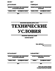 Технические условия Горно-Алтайске Разработка ТУ и другой нормативно-технической документации